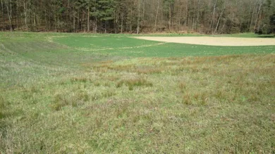 Terreno en Jennersdorf, Austria No. 93741