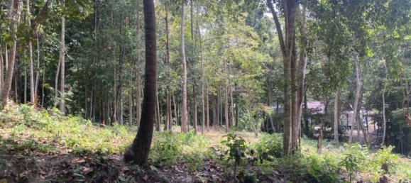 Terrain à Wiang Sa, Thailand No. 19345 8