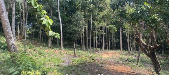  عقار تجاري في Wiang Sa, Thailand رقم 19345 2