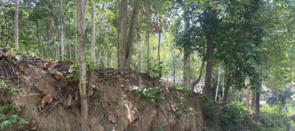 Terrain à Wiang Sa, Thailand No. 19345 9