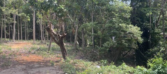  عقار تجاري في Wiang Sa, Thailand رقم 19345 10