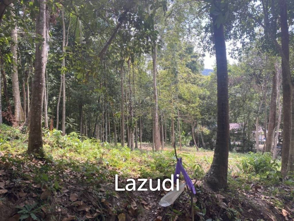  عقار تجاري في Wiang Sa, Thailand رقم 19345