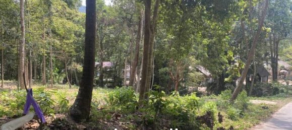  عقار تجاري في Wiang Sa, Thailand رقم 19345 6