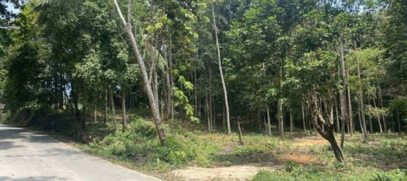 Terrain à Wiang Sa, Thailand No. 19345 4