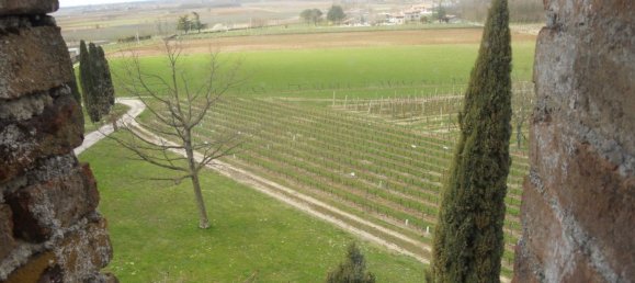 18غرفة فيلا في Udine, Italy رقم 81600 5