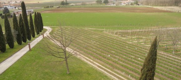 18غرفة فيلا في Udine, Italy رقم 81600 19