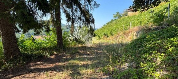 3 chambres Maison à Santo Stefano Belbo, Italy No. 310473 24