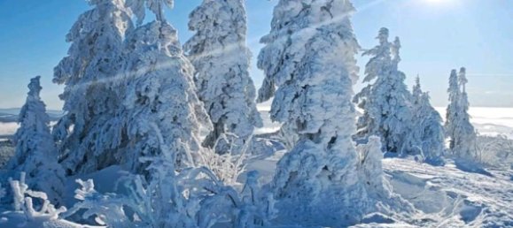 2 bedrooms Apartment in Freyung-Grafenau, Germany No. 322940 16