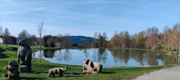 2 bedrooms Apartment in Freyung-Grafenau, Germany No. 322940 12