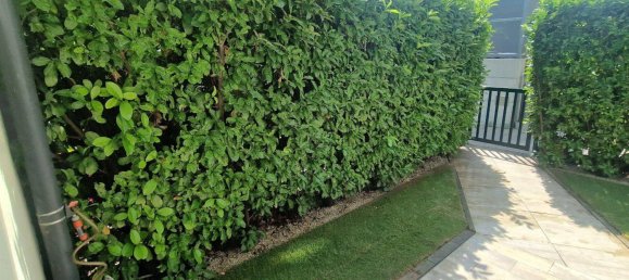 2-Zimmer Wohnung in Leobersdorf, Austria, Nr. 215370 2