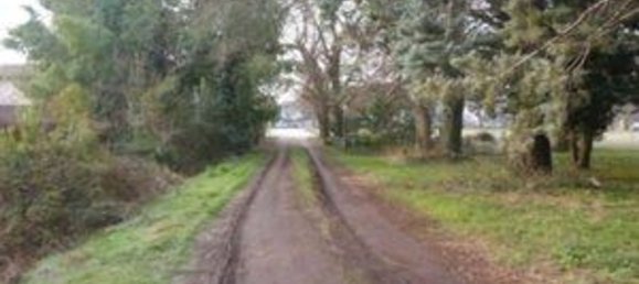 Квартира с 7 комнатами в Кодонье, Италия № 263636 23