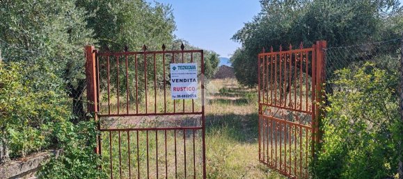 2غرفة منزل في Gallicano nel Lazio, Italy رقم 120633 16