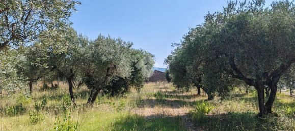 2غرفة منزل في Gallicano nel Lazio, Italy رقم 120633 6