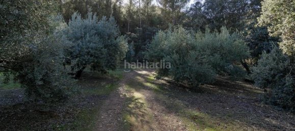 Terreno em Granada, Spain 26000 m² N.º 108062 3