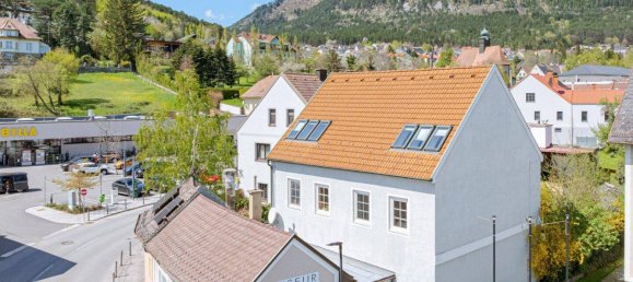 420m² Commercial property in Grunbach am Schneeberg, Austria No. 154918 12