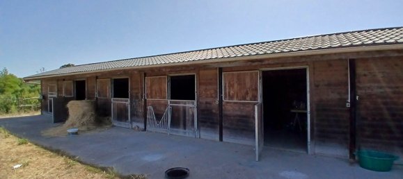 5 chambres Maison à Vallons-de-l'Erdre, France No. 98297 15