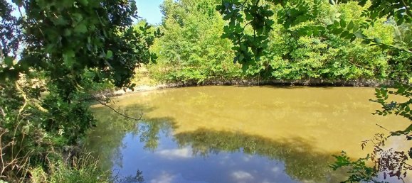 5 chambres Maison à Vallons-de-l'Erdre, France No. 98297 10