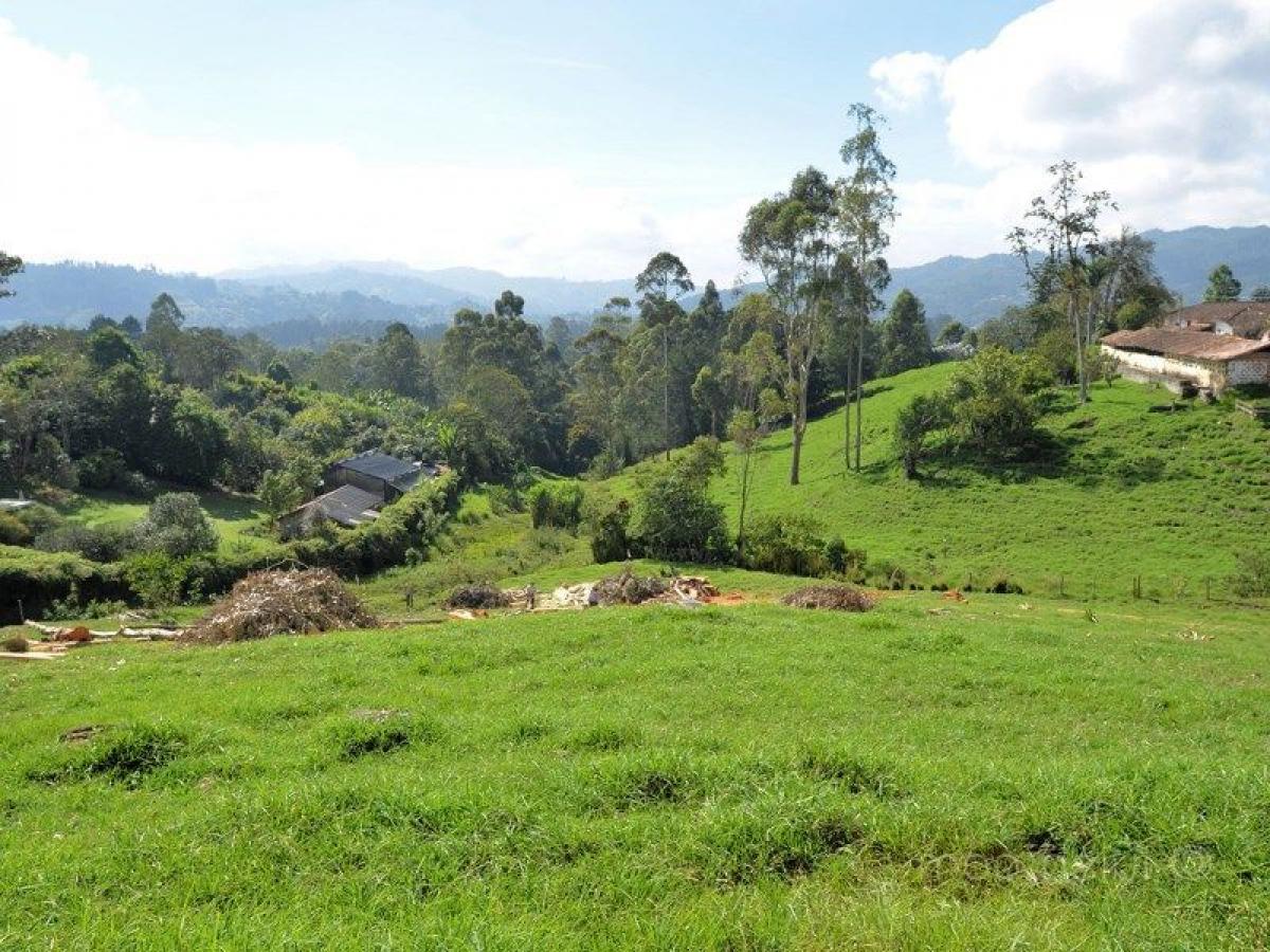  Land in Antioquia, Colombia No. 441