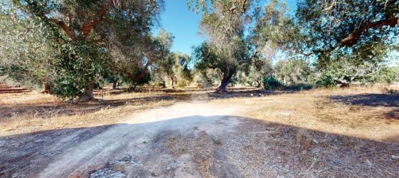 3-Zimmer Haus in Francavilla Fontana, Italy, Nr. 295430 16