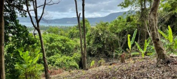 16495m² Commercial property in Patong, Thailand No. 12498 7