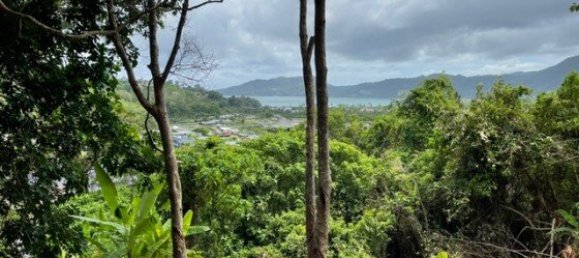 16495m² Commercial property in Patong, Thailand No. 12498 5