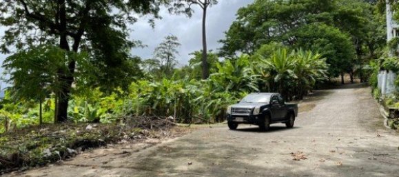 16495m² Commercial property in Patong, Thailand No. 12498 6