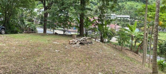 16495m² Commercial property in Patong, Thailand No. 12498 8