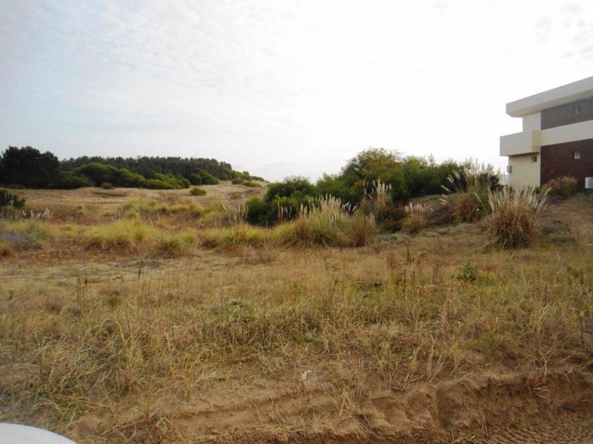  قطعة أرض في Mar del Plata, Argentina رقم 116298