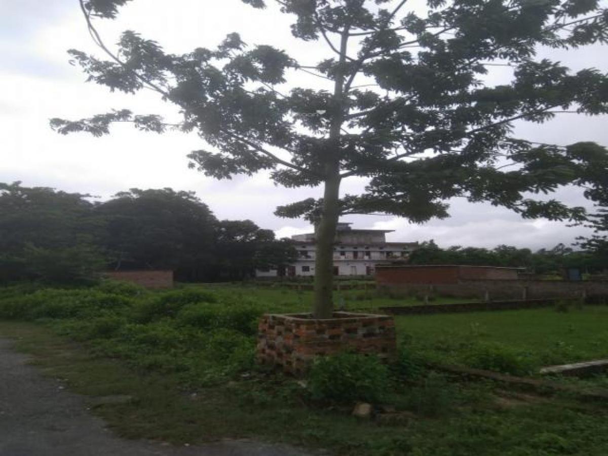 Terrain à Lucknow, India No. 31696