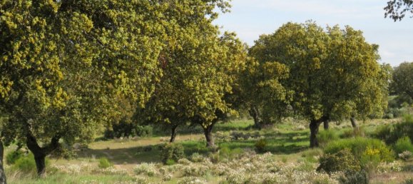 قطعة أرض في Ledesma, Spain 6800000متر مربع رقم 292508 15