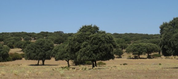 قطعة أرض في Ledesma, Spain 6800000متر مربع رقم 292508 19