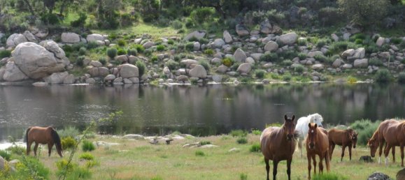 قطعة أرض في Ledesma, Spain 6800000متر مربع رقم 292508 13