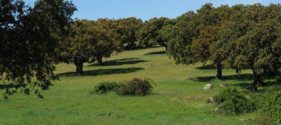 قطعة أرض في Ledesma, Spain 6800000متر مربع رقم 292508 9