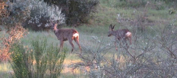 قطعة أرض في Ledesma, Spain 6800000متر مربع رقم 292508 4