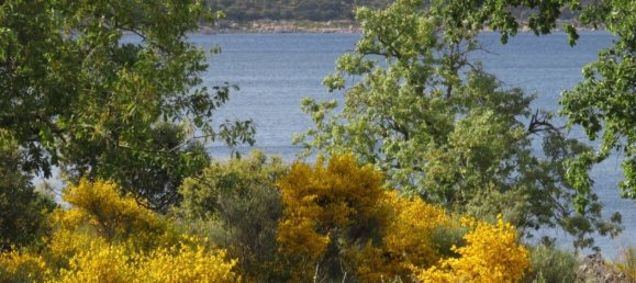 قطعة أرض في Ledesma, Spain 6800000متر مربع رقم 292508 14