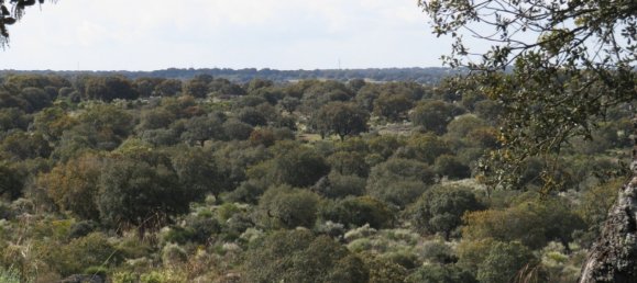 قطعة أرض في Ledesma, Spain 6800000متر مربع رقم 292508 5