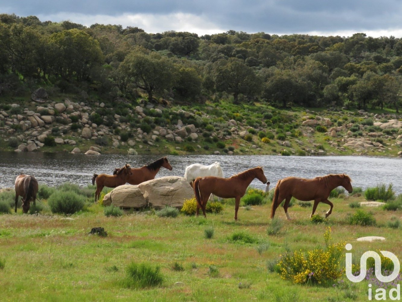 6800000m² Land in Ledesma, Spain No. 292508