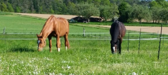 Imóvel comercial em Neckar-Odenwald-Kreis, Germany N.º 25417 17