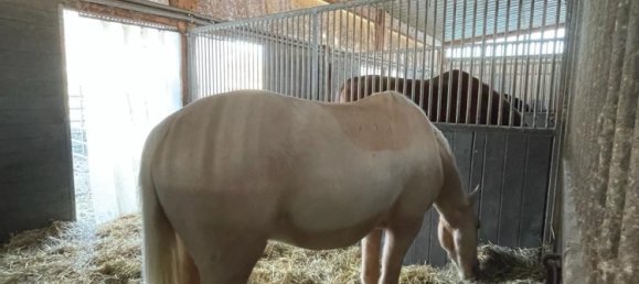 Imóvel comercial em Neckar-Odenwald-Kreis, Germany N.º 25417 12