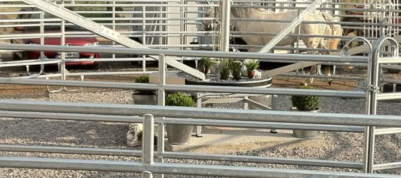 Imóvel comercial em Neckar-Odenwald-Kreis, Germany N.º 25417 10