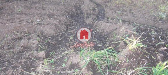 Terrain à Vila do Conde, Portugal 1000m² No. 85252 4