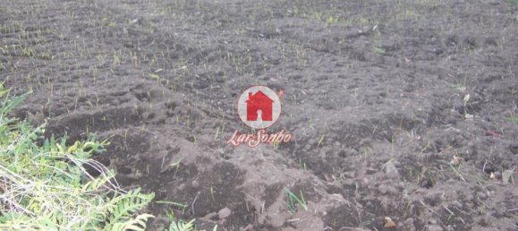 Terrain à Vila do Conde, Portugal 1000m² No. 85252 2