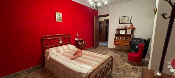 Bâtiment à Torre-Pacheco, Spain 528m² No. 145774 24