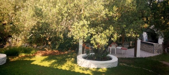 3 chambres Propriété commerciale à Chalkidiki, Greece No. 2034 5