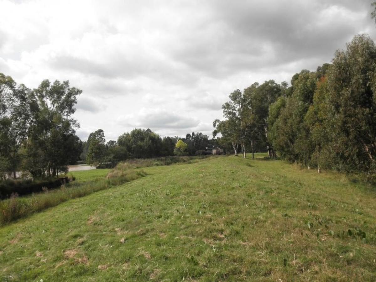  Farm in Entre Rios, Argentina No. 38547