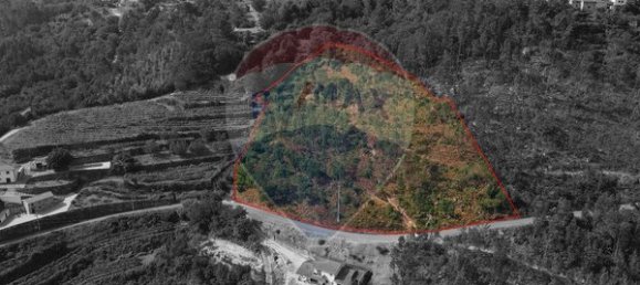 10500m² Land in Espadanedo, Portugal No. 88074 12