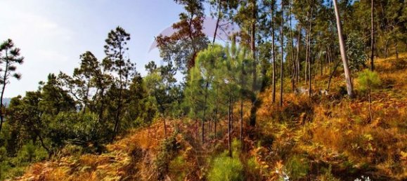 10500m² Land in Espadanedo, Portugal No. 88074 4