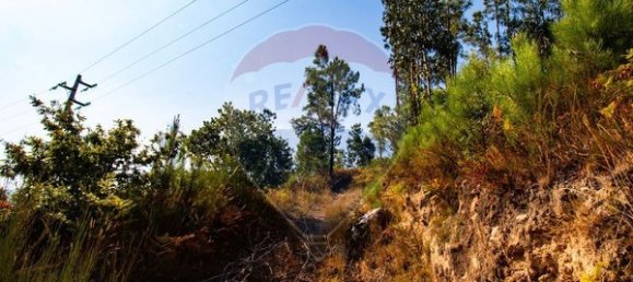 10500m² Land in Espadanedo, Portugal No. 88074 2