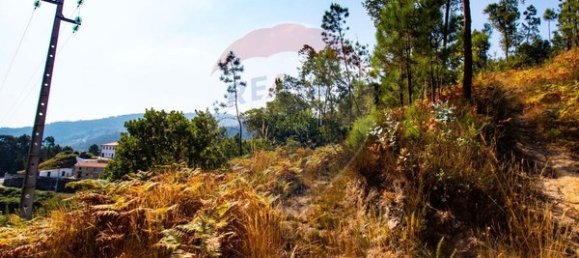 10500m² Land in Espadanedo, Portugal No. 88074 10