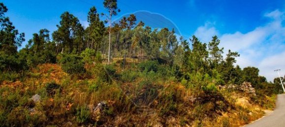 10500m² Land in Espadanedo, Portugal No. 88074 11